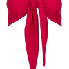 CLEAN HIBISCUS
