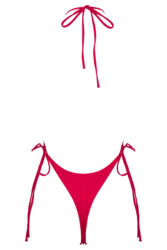 THE MINIMAL ONE HIBISCUS