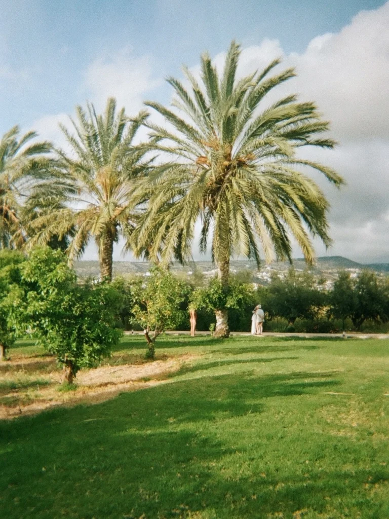 Instagram post from korneliarataj. This post is in position 0.